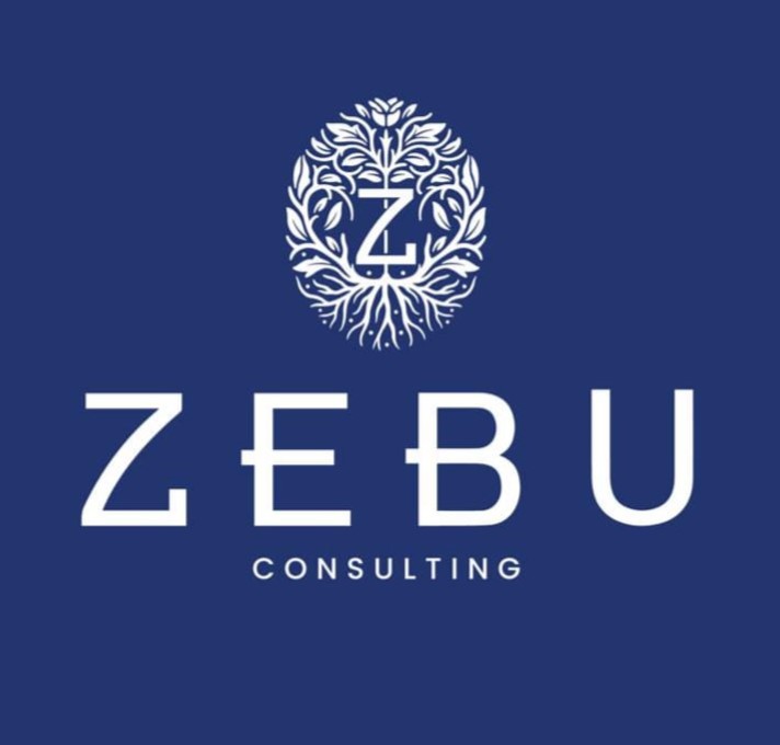 ZEBU Consulting
